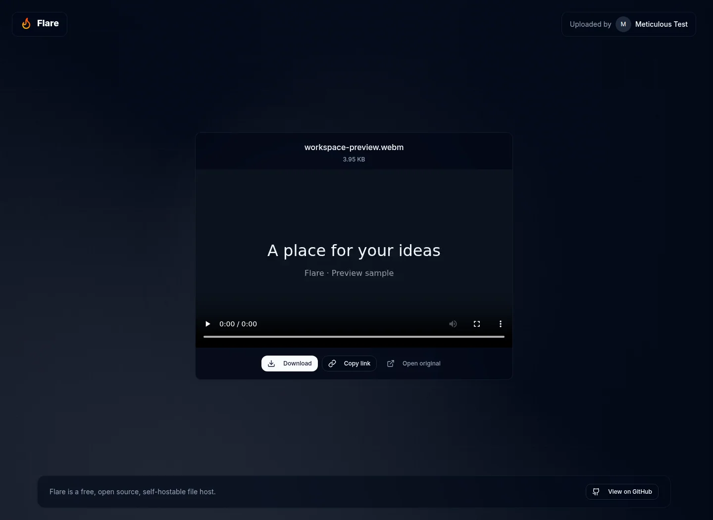 Video share page with playback controls