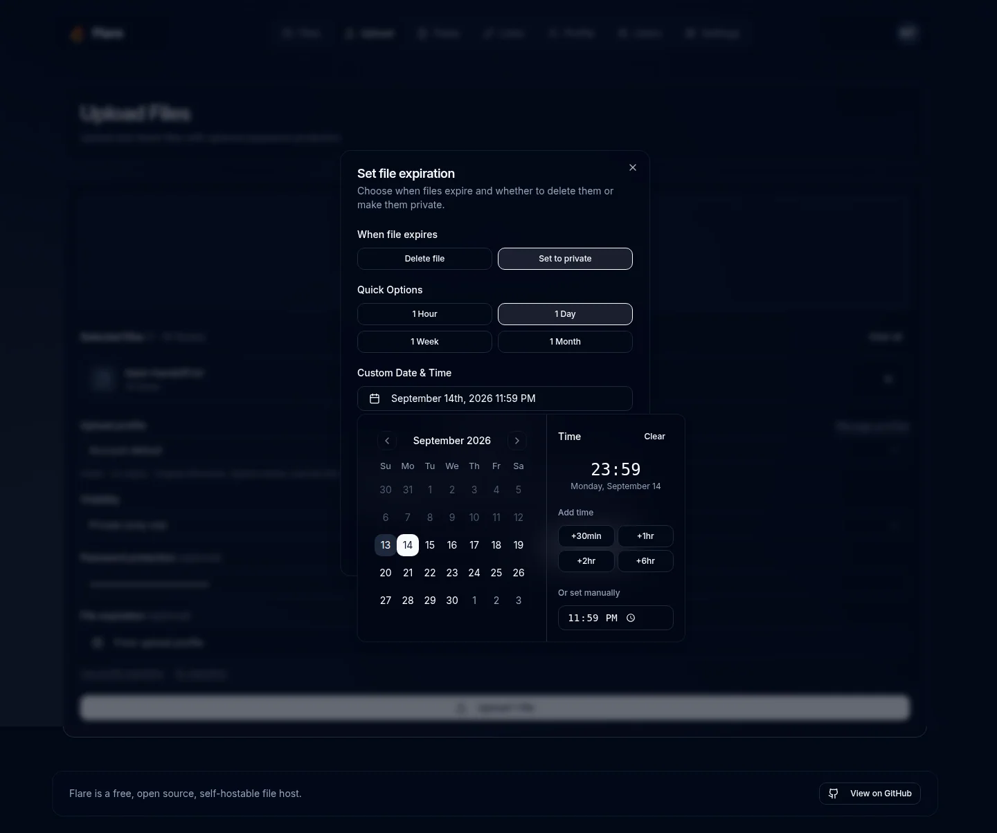 Custom file expiration date and time controls